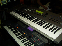 Paradise75