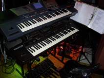 Paradise79
